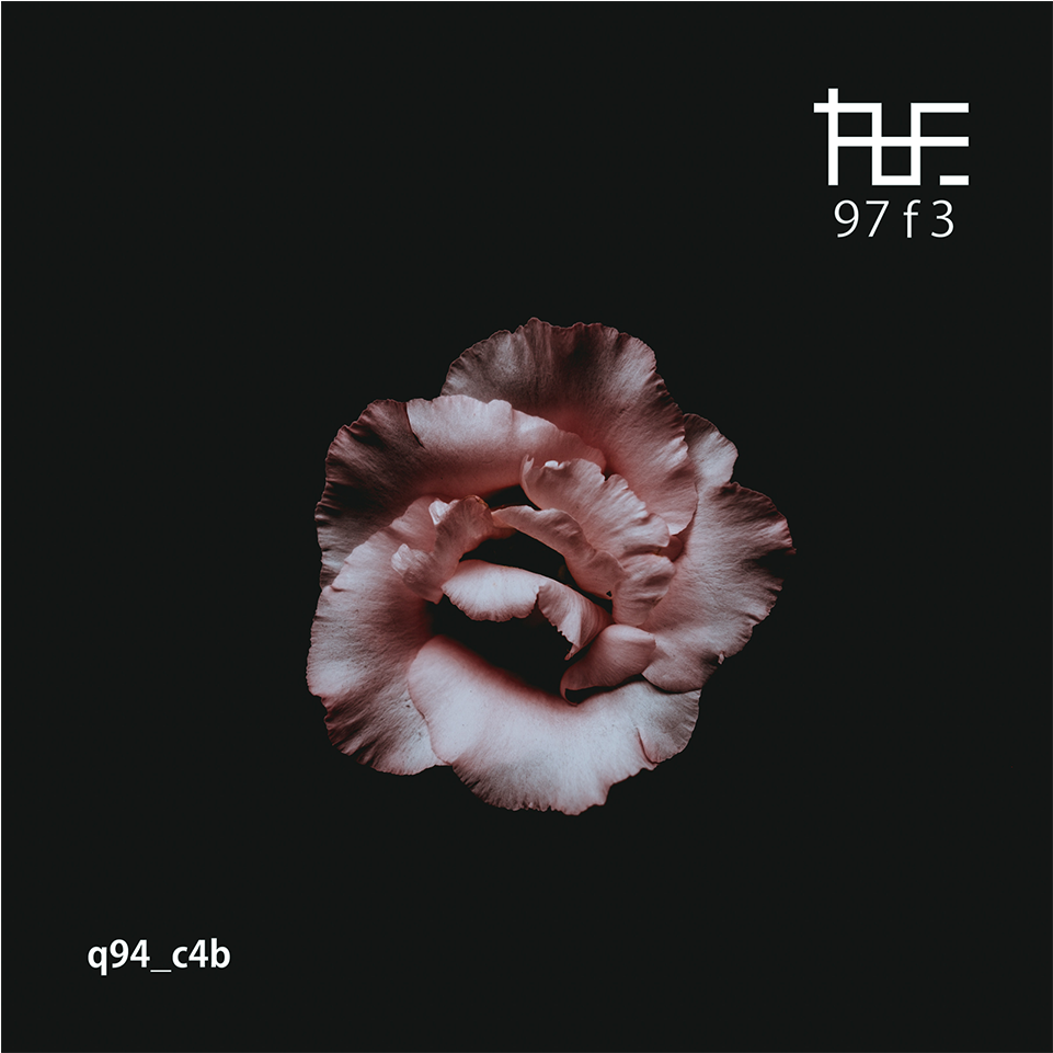 Sounds - Background Iphone Flowers Dark Clipart (1280x960), Png Download