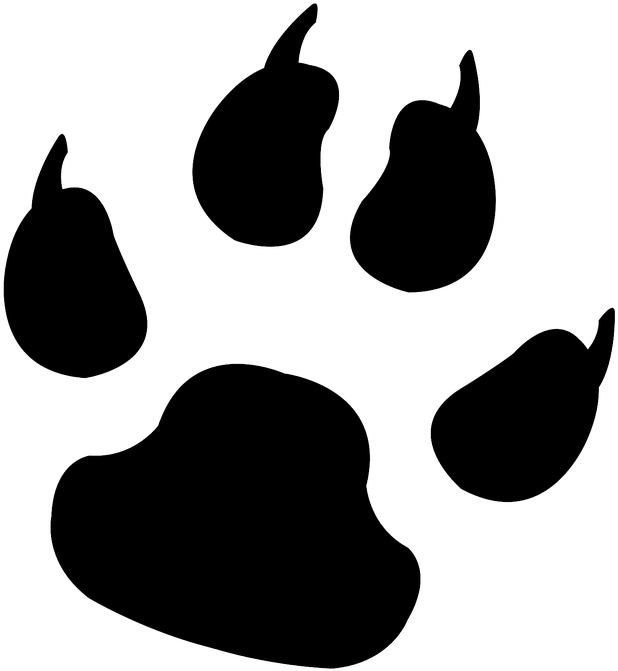 Paw Print Clip Art , Png Download - Animal Track Transparent Png (618x671), Png Download