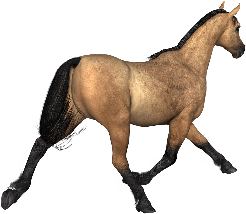 Animals - Horse Brown Png Clipart (1280x960), Png Download
