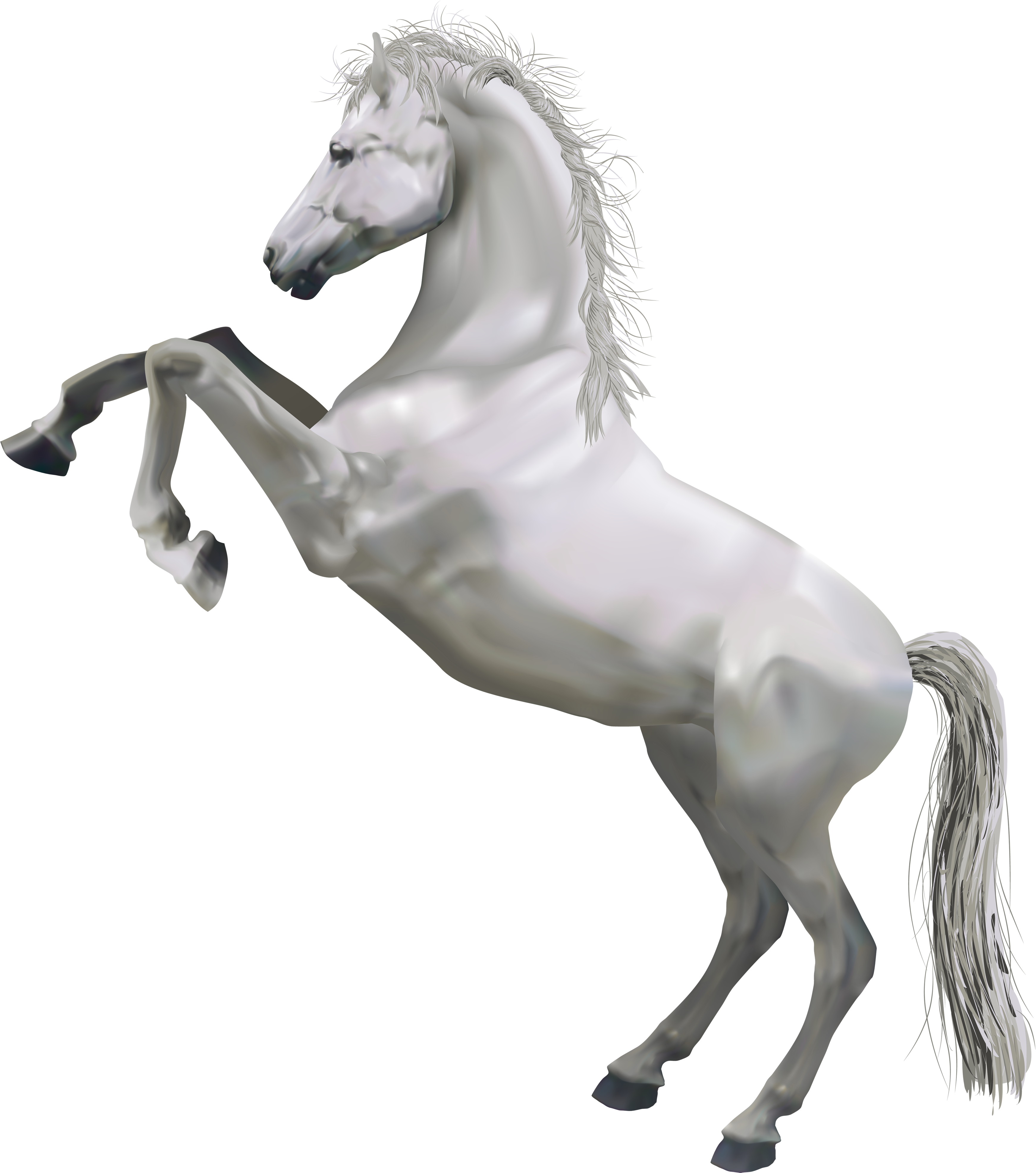 Transparent White Horse - White Horse Transparent Background Clipart (3500x3943), Png Download