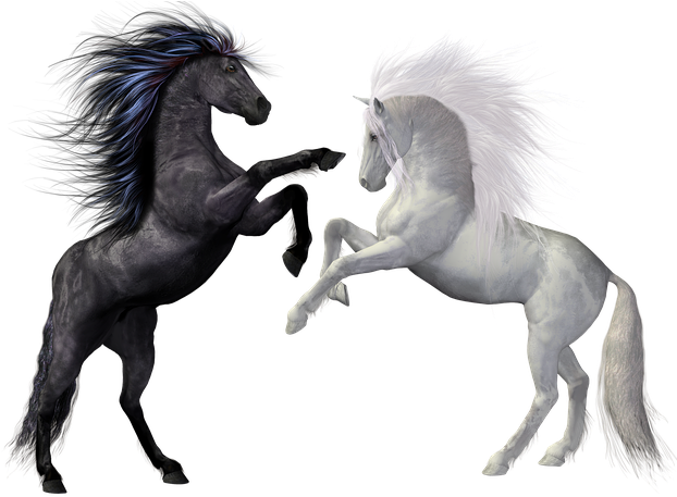 Wallpapers Horace Kaufman, Kr/17 - Silhouette Horse Mane Clipart - Png Download (640x480), Png Download