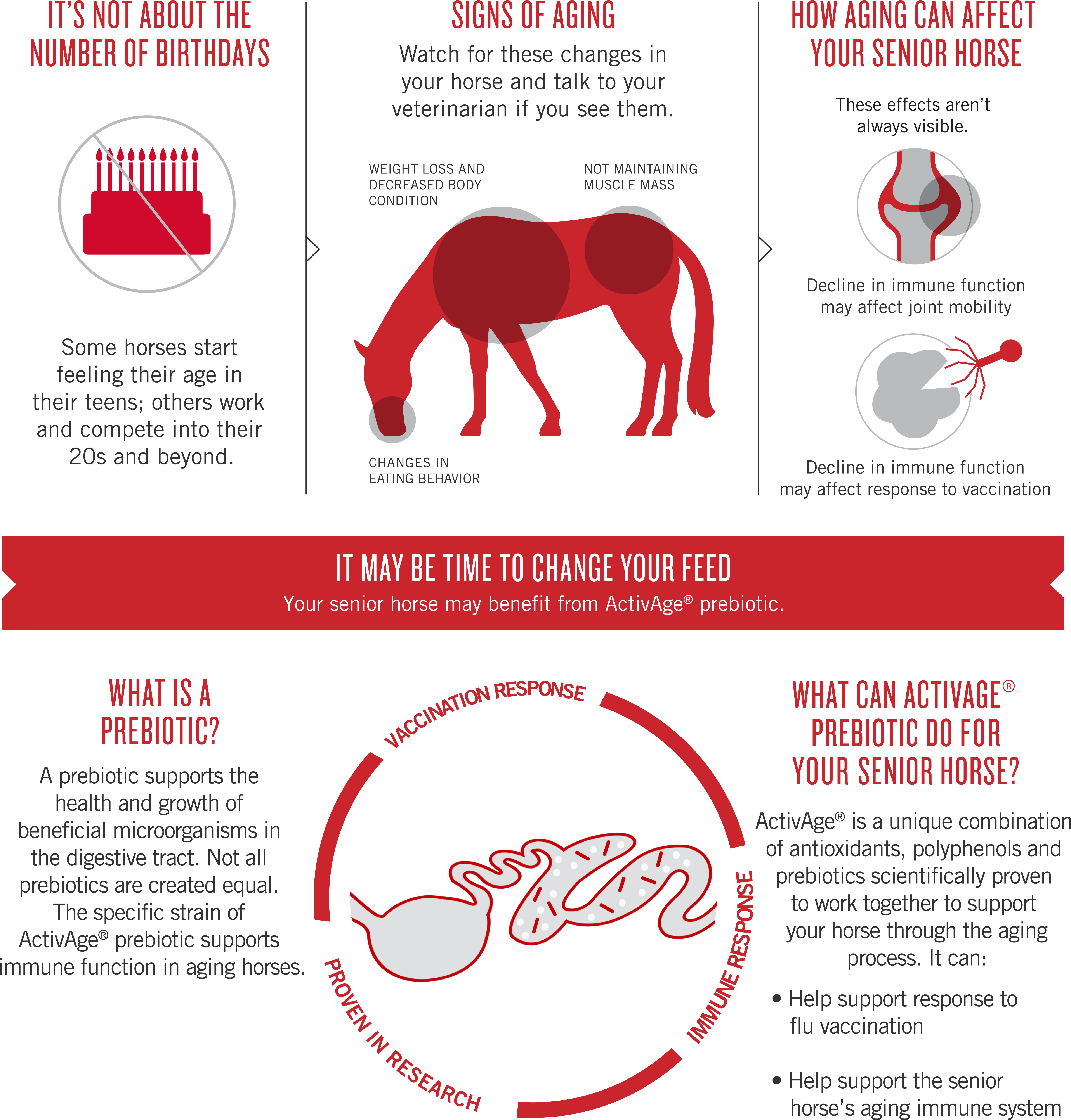 Try Activeage Prebiotic - Stallion Clipart (4989x5151), Png Download
