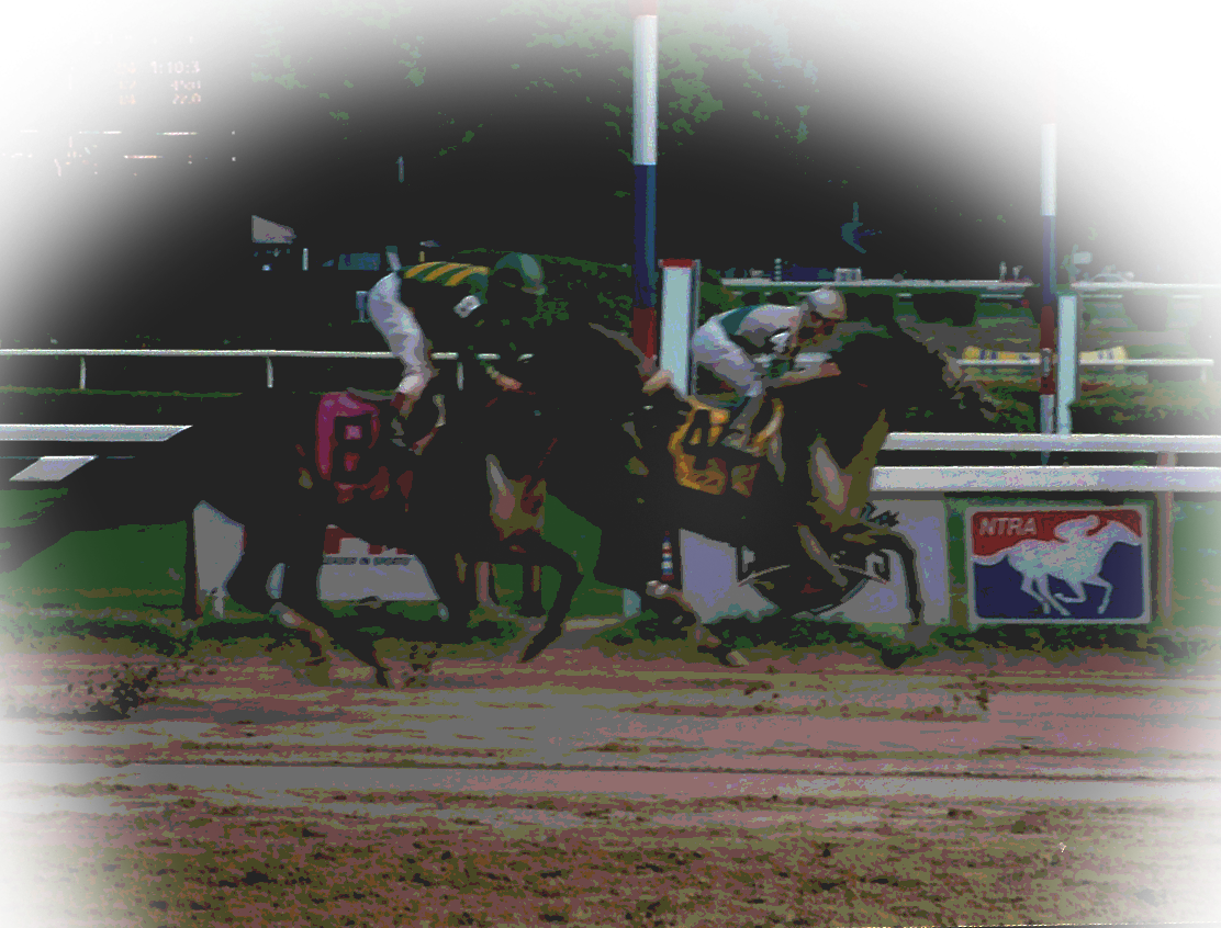 Photoshop - National Thoroughbred Racing Association Clipart (1112x846), Png Download