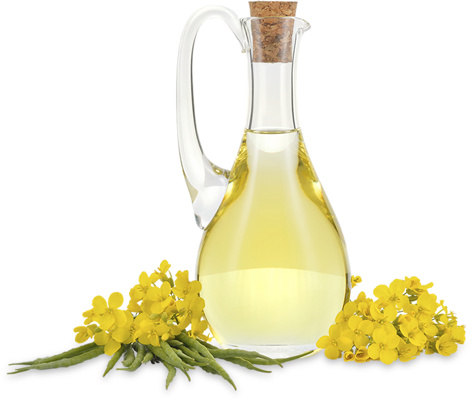 Canola Oil - Canola Oil Png Clipart (720x640), Png Download