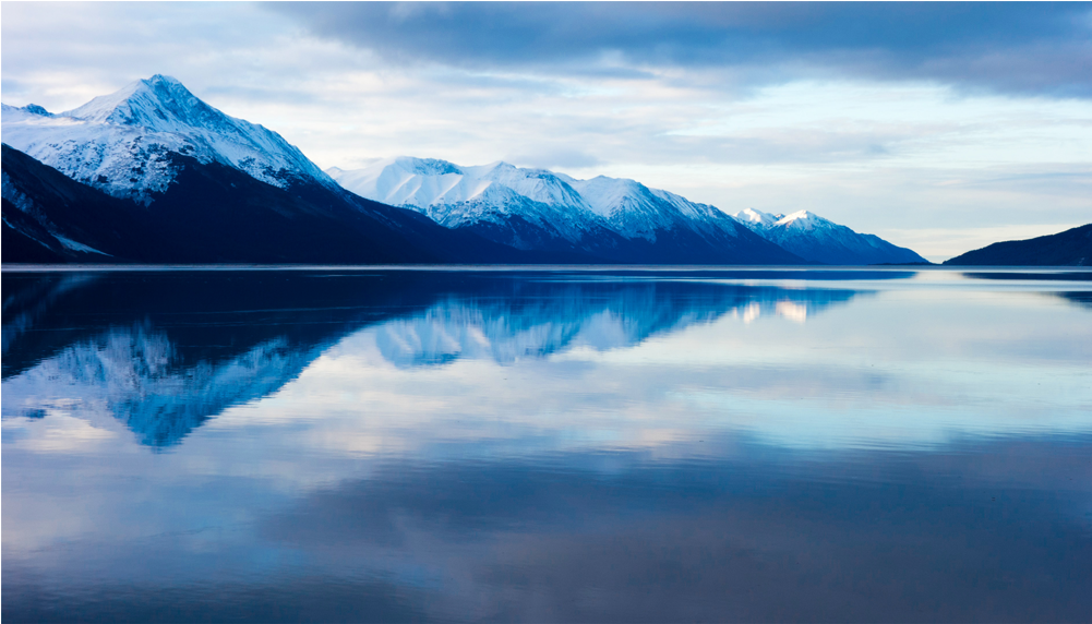 Score 50% - Reflection Clipart (1000x1000), Png Download