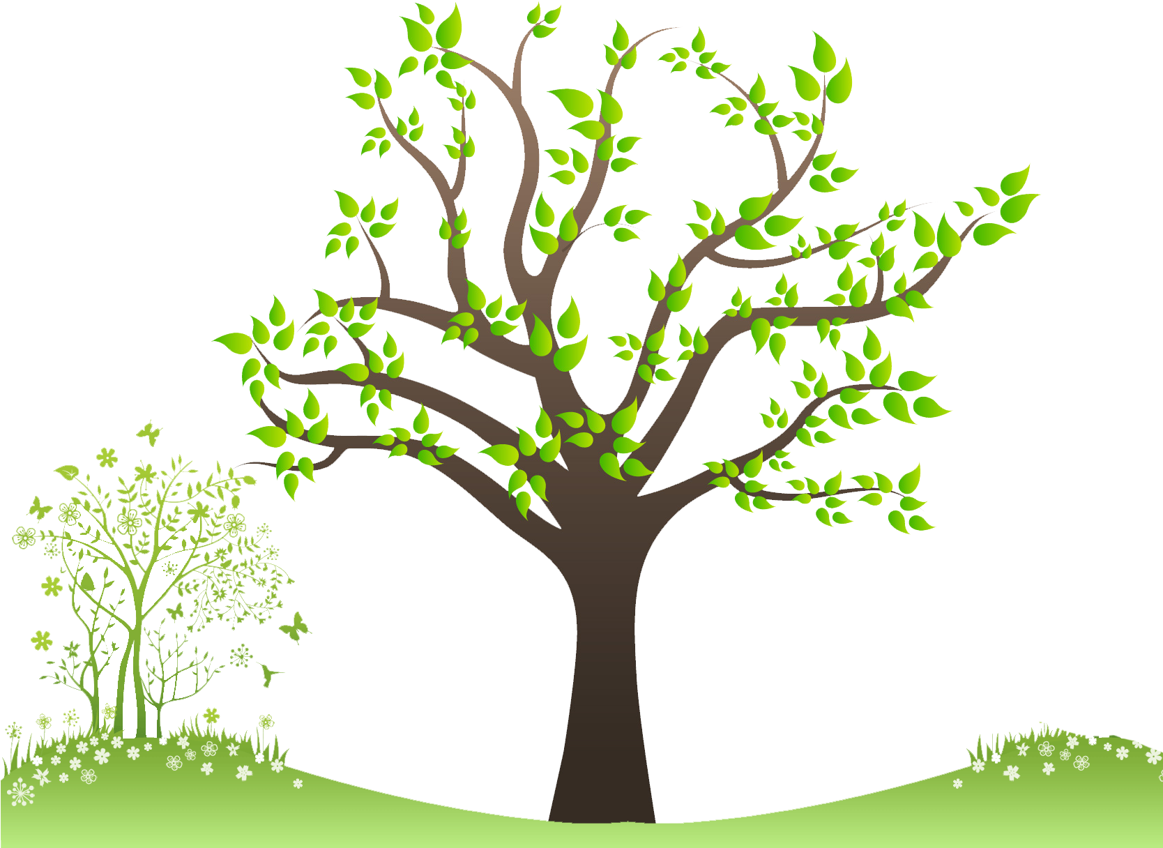 Family Tree Png Free Download - Tree Png For Family Clipart (1667x1239), Png Download