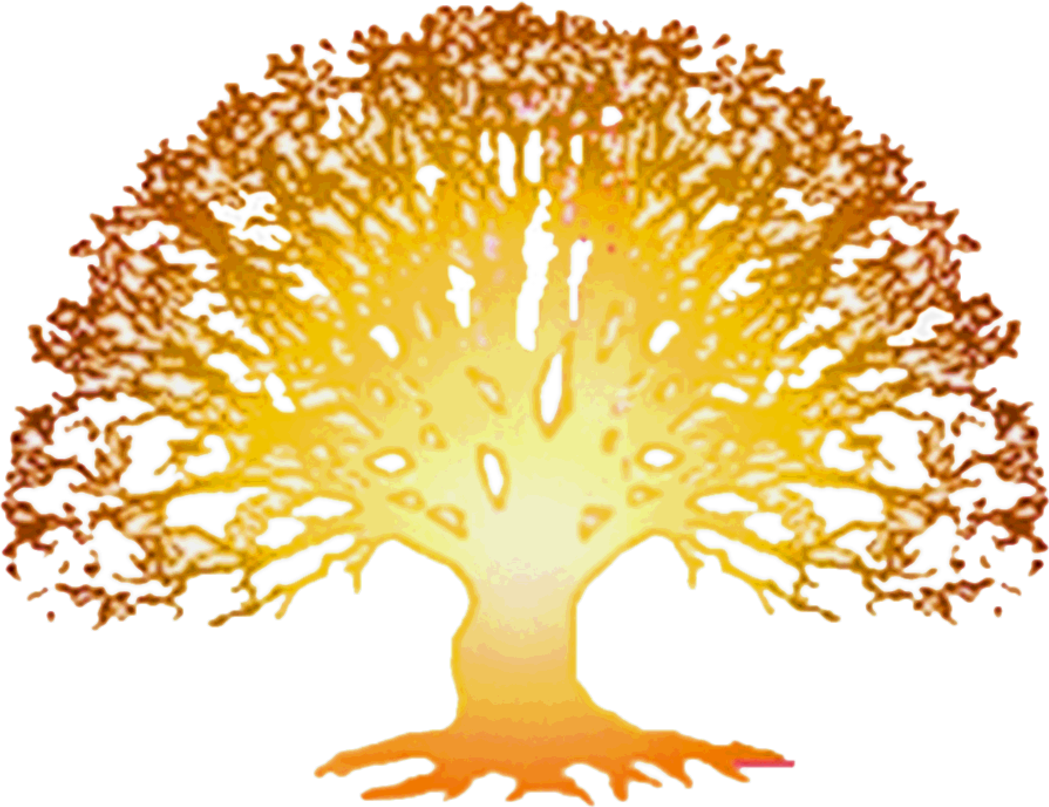 Beautiful Family History Book Template Clipart (3800x2960), Png Download