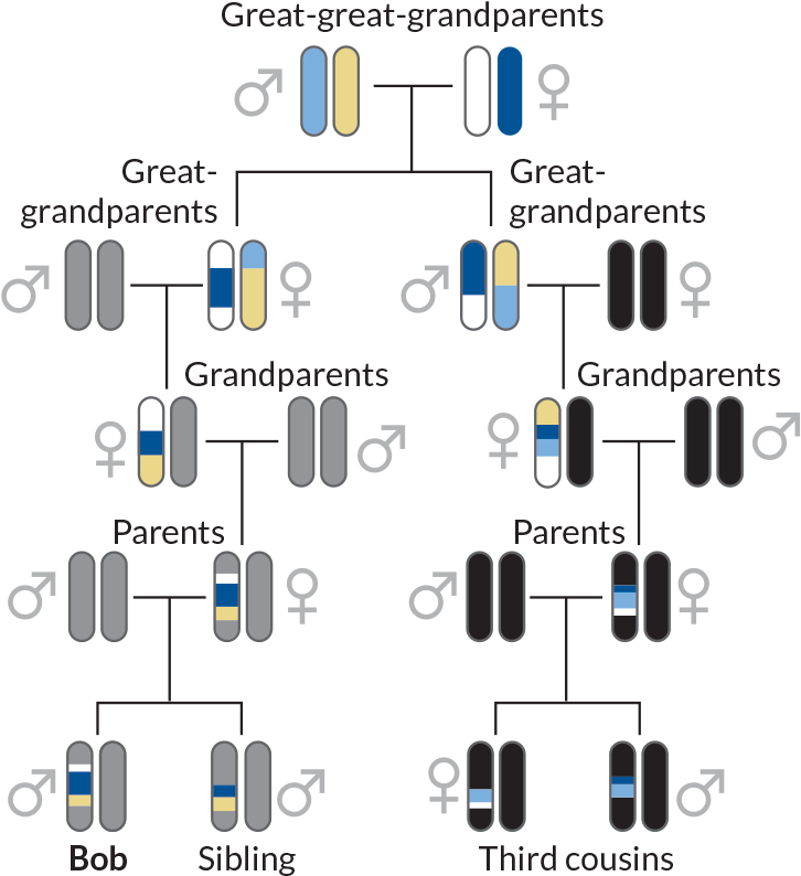 Mix And Unmatch - Parallel Clipart (730x801), Png Download