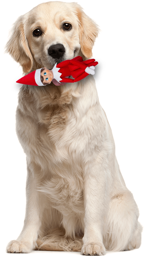 Elf On The Shelf With Dog - Dog Png Clipart (600x907), Png Download