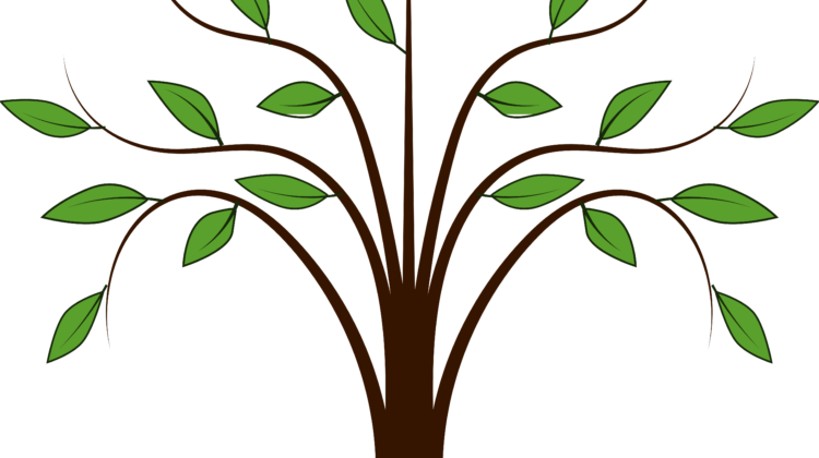 Family Tree - Tree Clipart Free - Png Download (750x420), Png Download