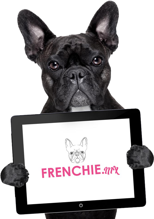 Bulldog Francese Png - Daily Man Funny Quotes Clipart (786x710), Png Download
