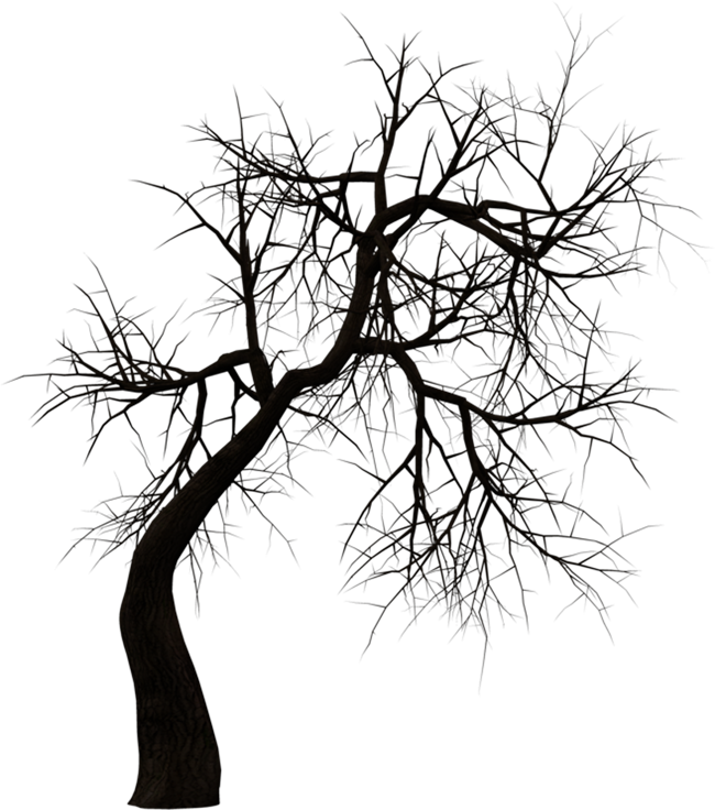 Horror Tree Png - Transparent Haunted House Png Clipart (650x736), Png Download