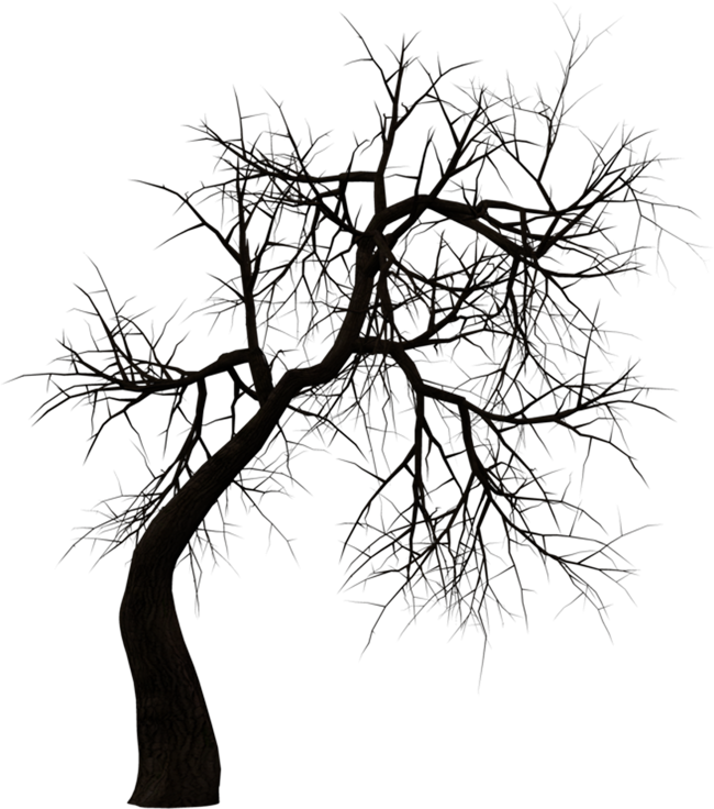 Horror Tree Png Transparent Haunted House Png Clipart Large Size Png Image Pikpng