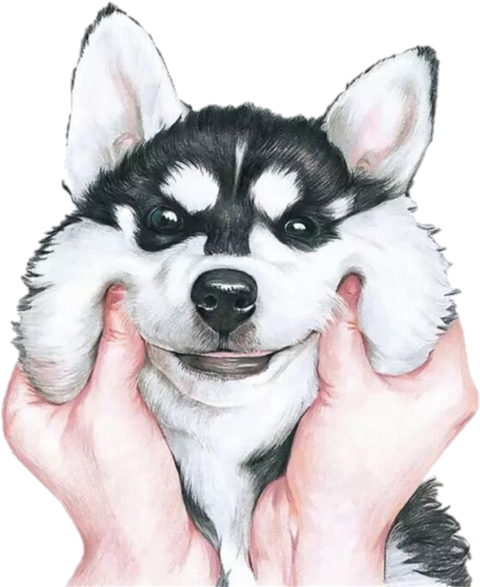 Tumblr Sticker - Fondos De Pantalla De Perros Clipart (1024x872), Png Download