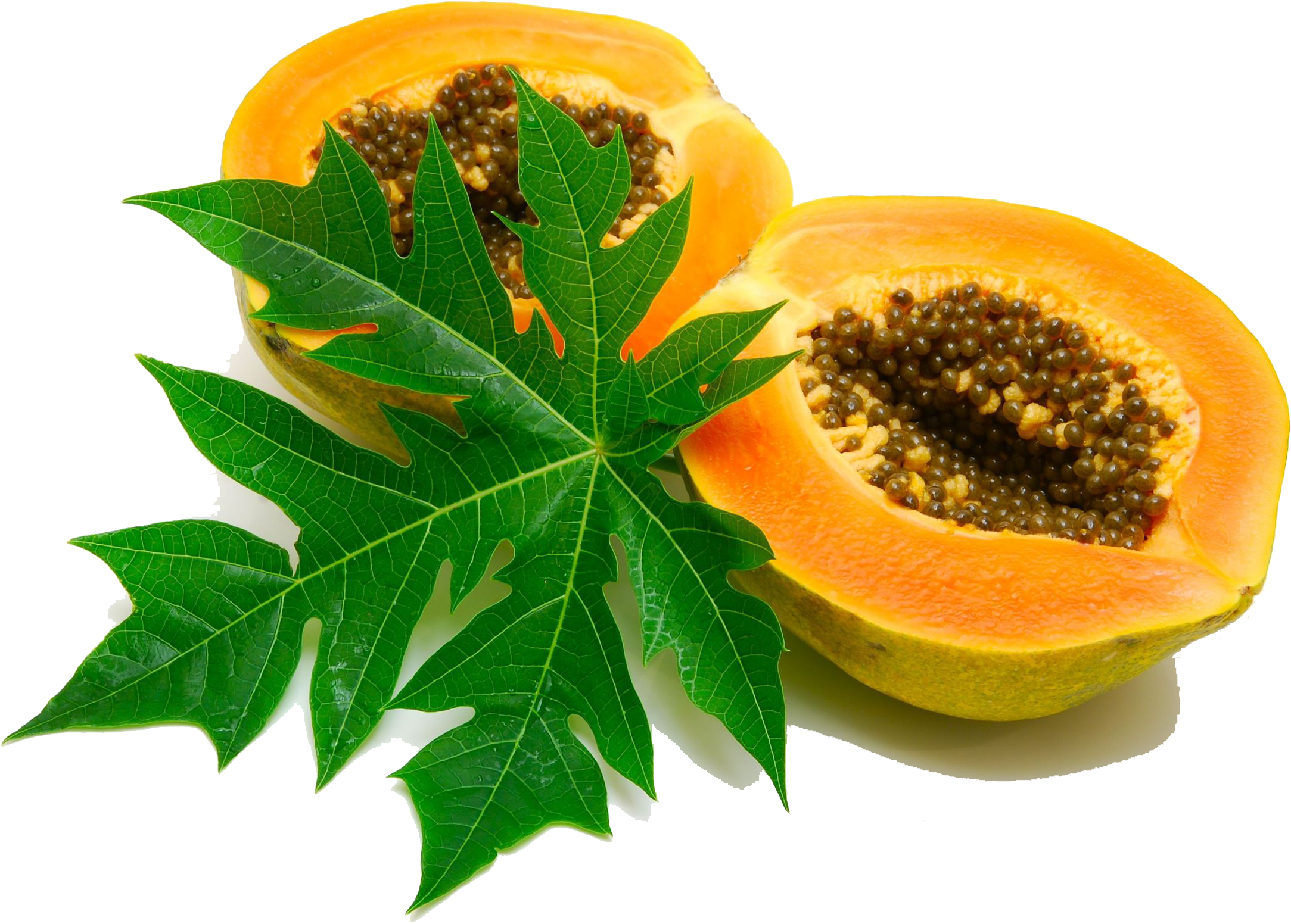 Papaya Png Image - Papaya A Medicinal Plant Clipart (2503x1676), Png Download
