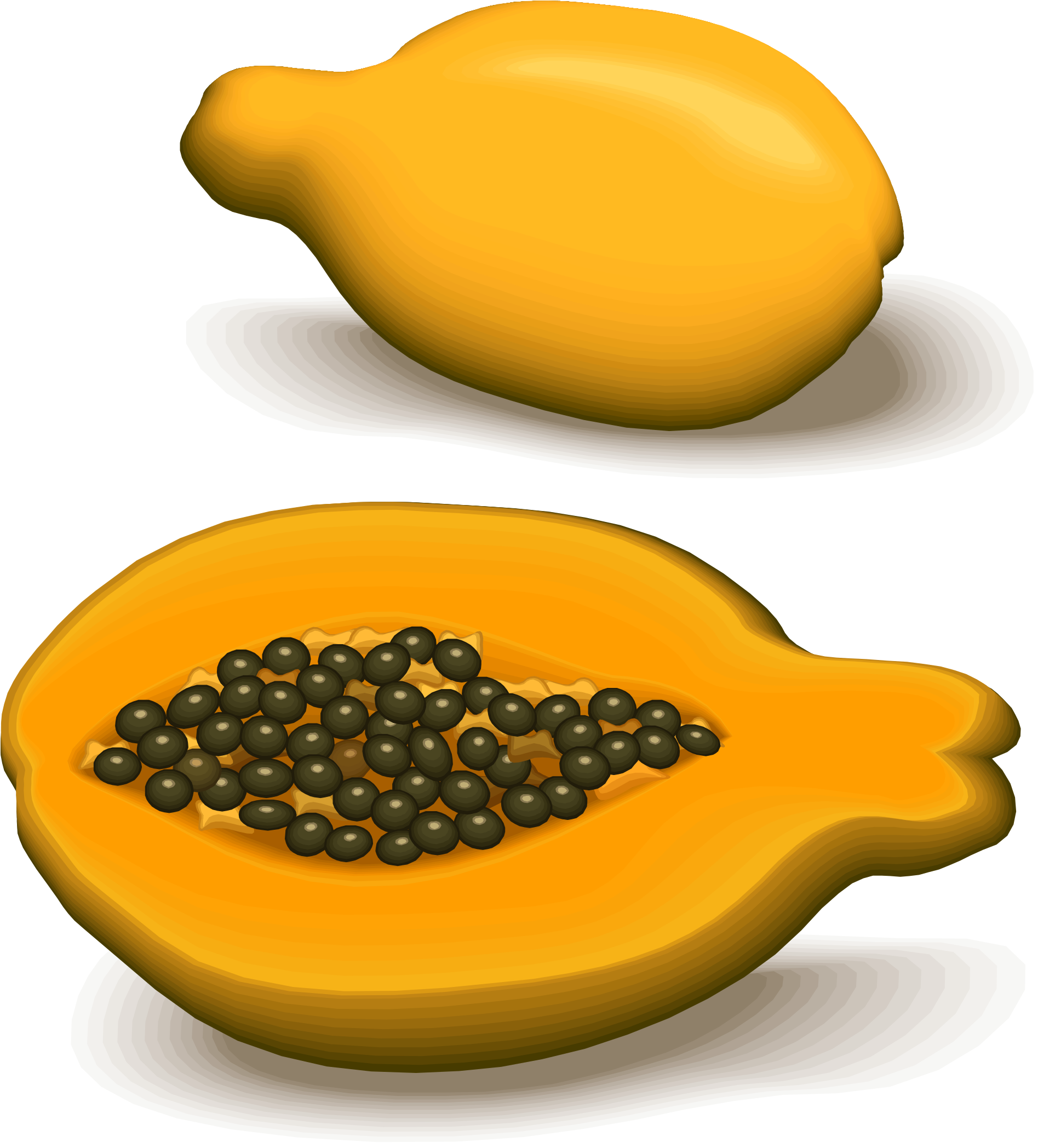 Papaya Drawing Orange Fruit Clipart (1926x2096), Png Download