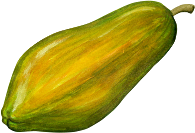 Papayas - Papaya Clipart (866x650), Png Download