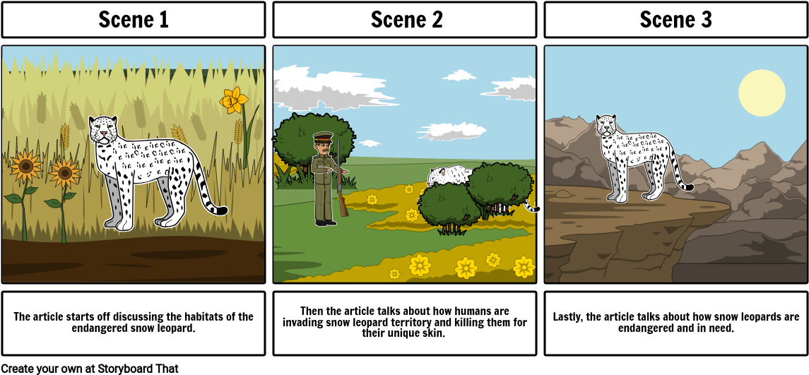 Snow Leopard - Salva Mawien Dut Ariik Nya Clipart (1165x550), Png Download