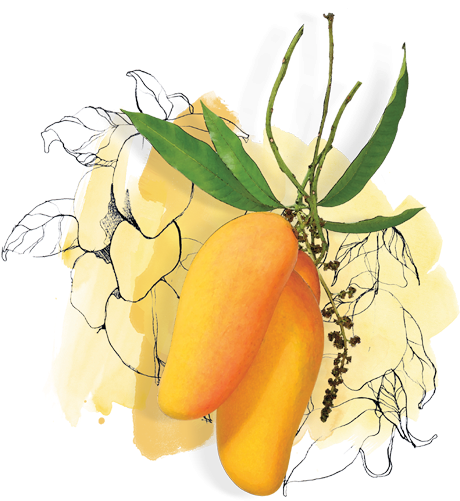 1050 X 528 2 - Illustration Clipart (1050x528), Png Download