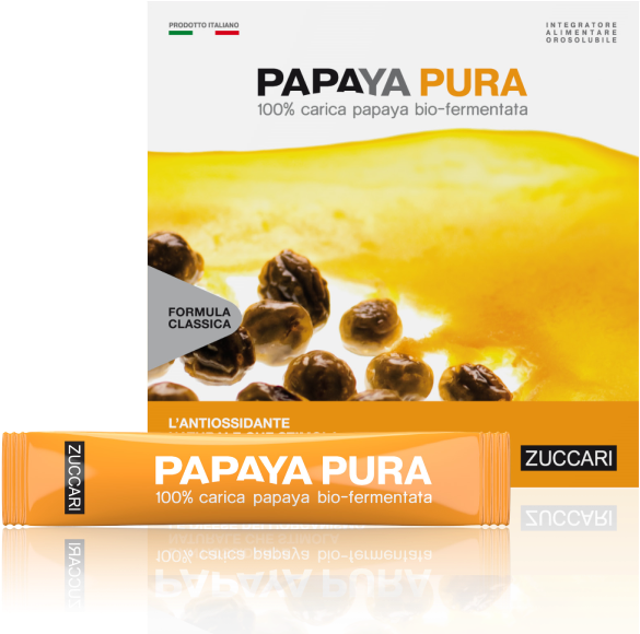 Papaya Pura 1 - Papaya Zuccari Clipart (800x800), Png Download