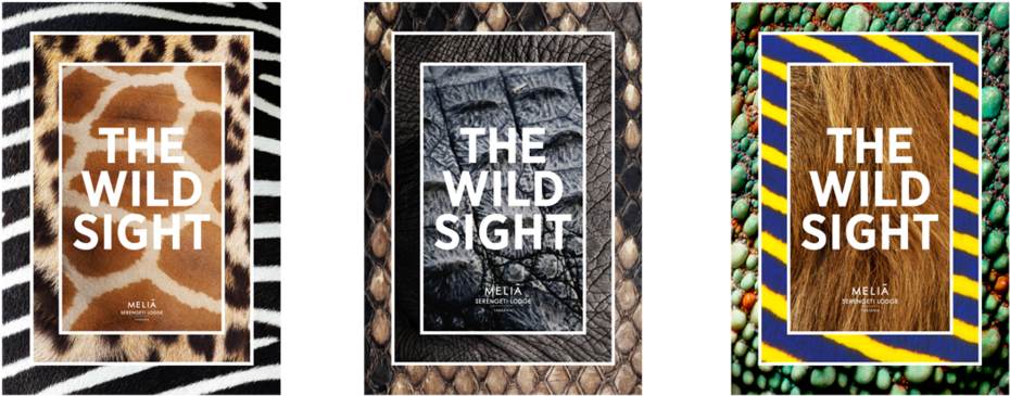 Compo Meliá Posters Clipart (1000x530), Png Download