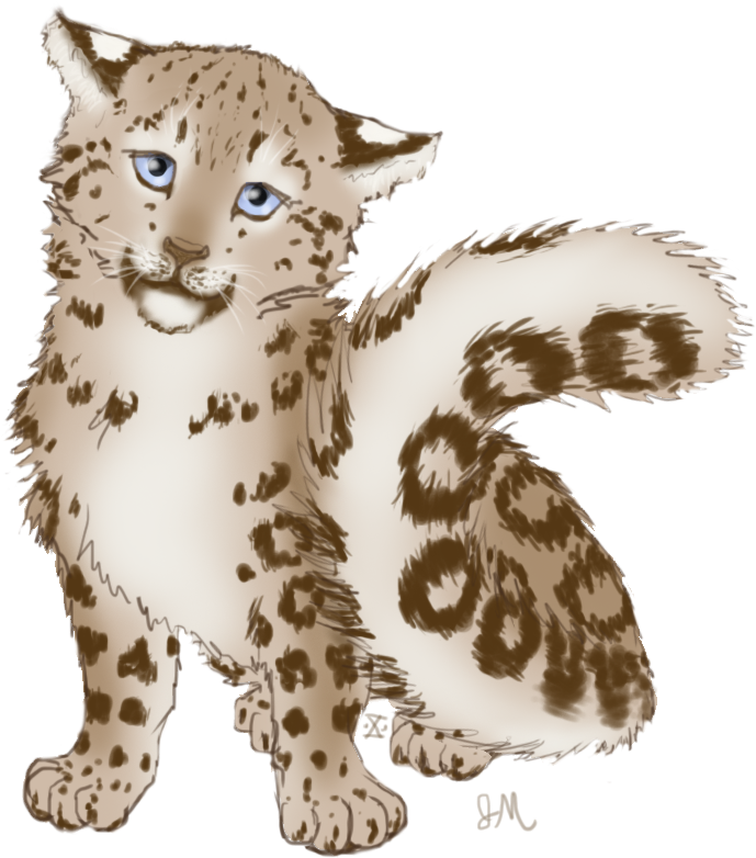 Drawn Snow Leopard Anime - Snow Leopard Cub Drawing Clipart (828x855), Png Download