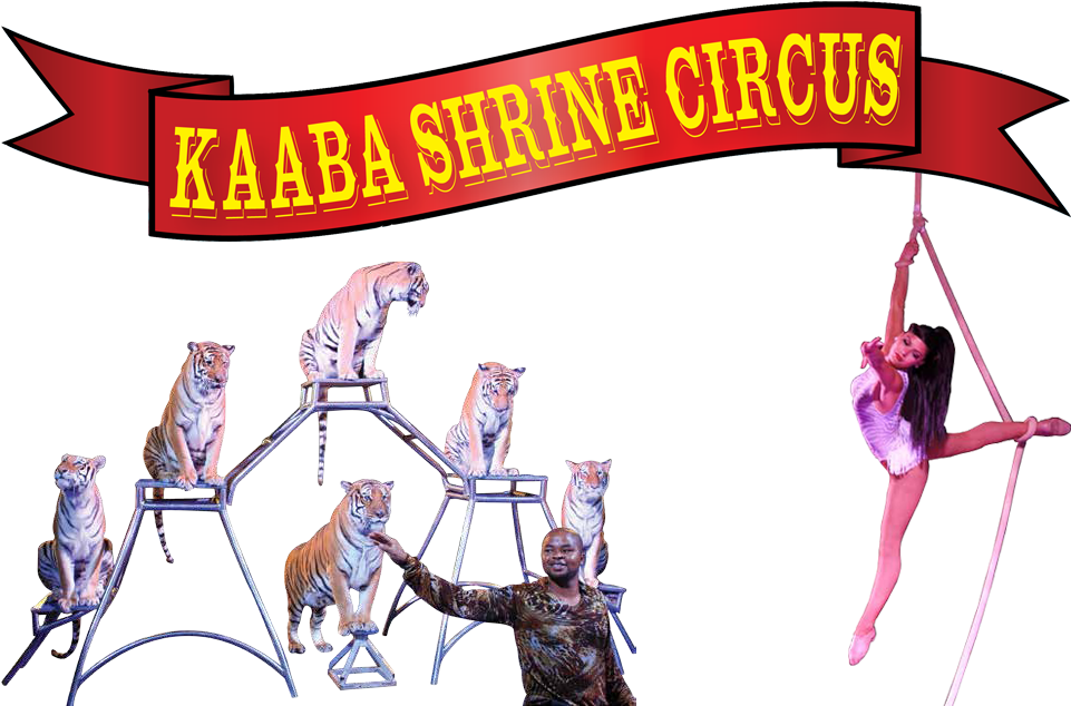 Circus Clipart Flag Banner - Cartoon - Png Download (1100x654), Png Download