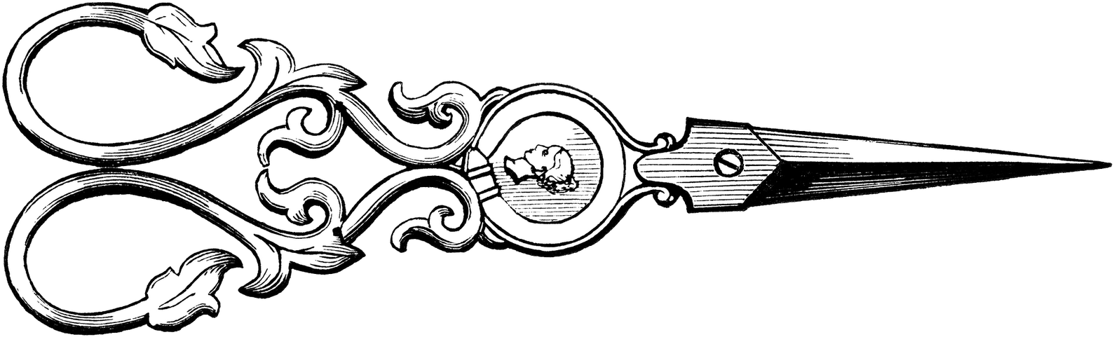 Vintage Scissors Transparent Png - Scissors Drawing Clipart (1600x492), Png Download