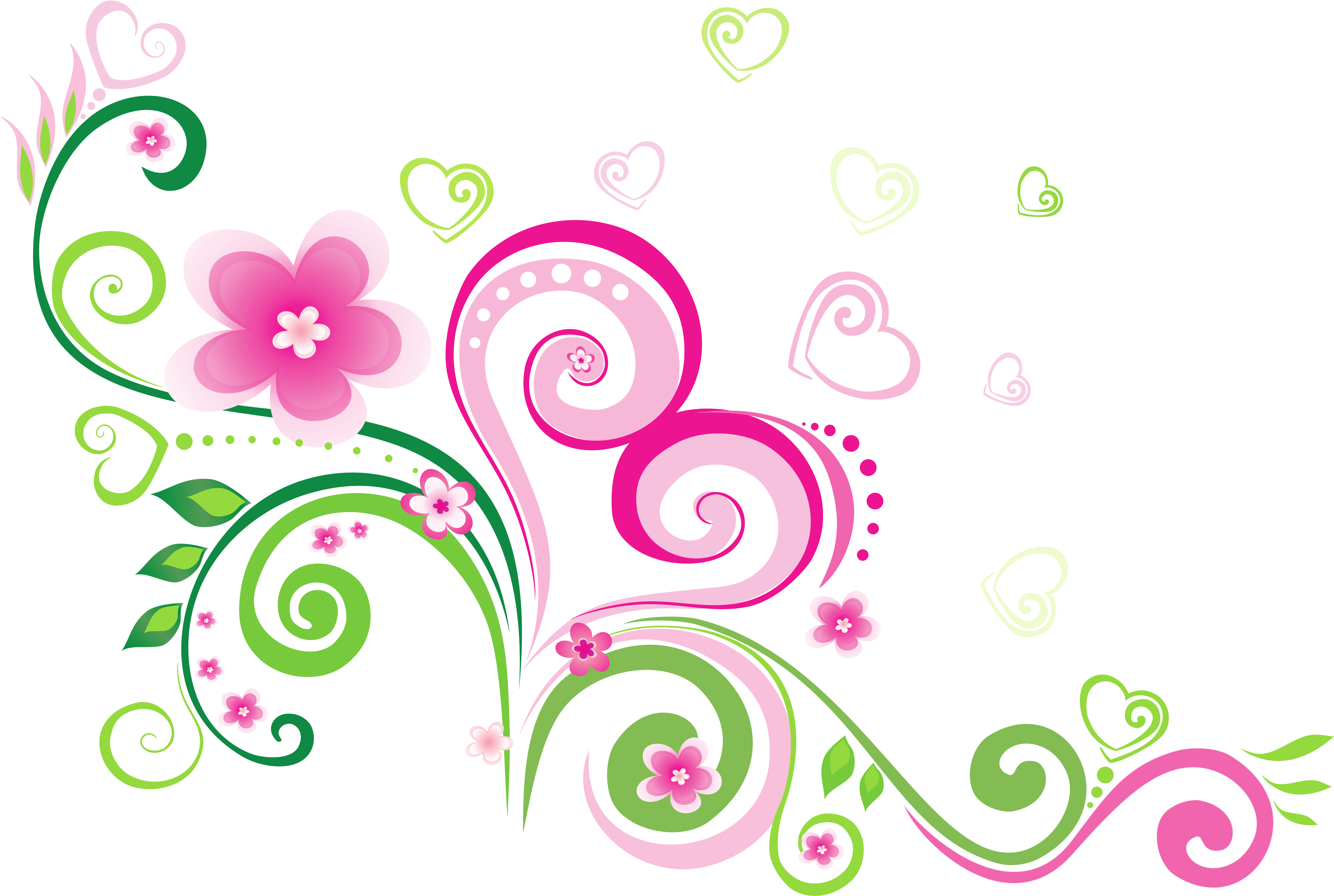 Transparent Png Line Decoration Clipart (4928x3427), Png Download