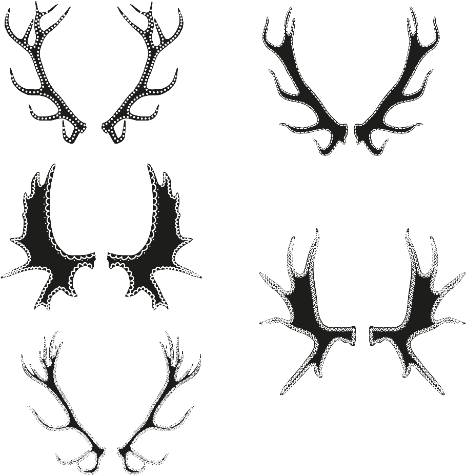 Antler Vector - Drawing Clipart (1024x1024), Png Download