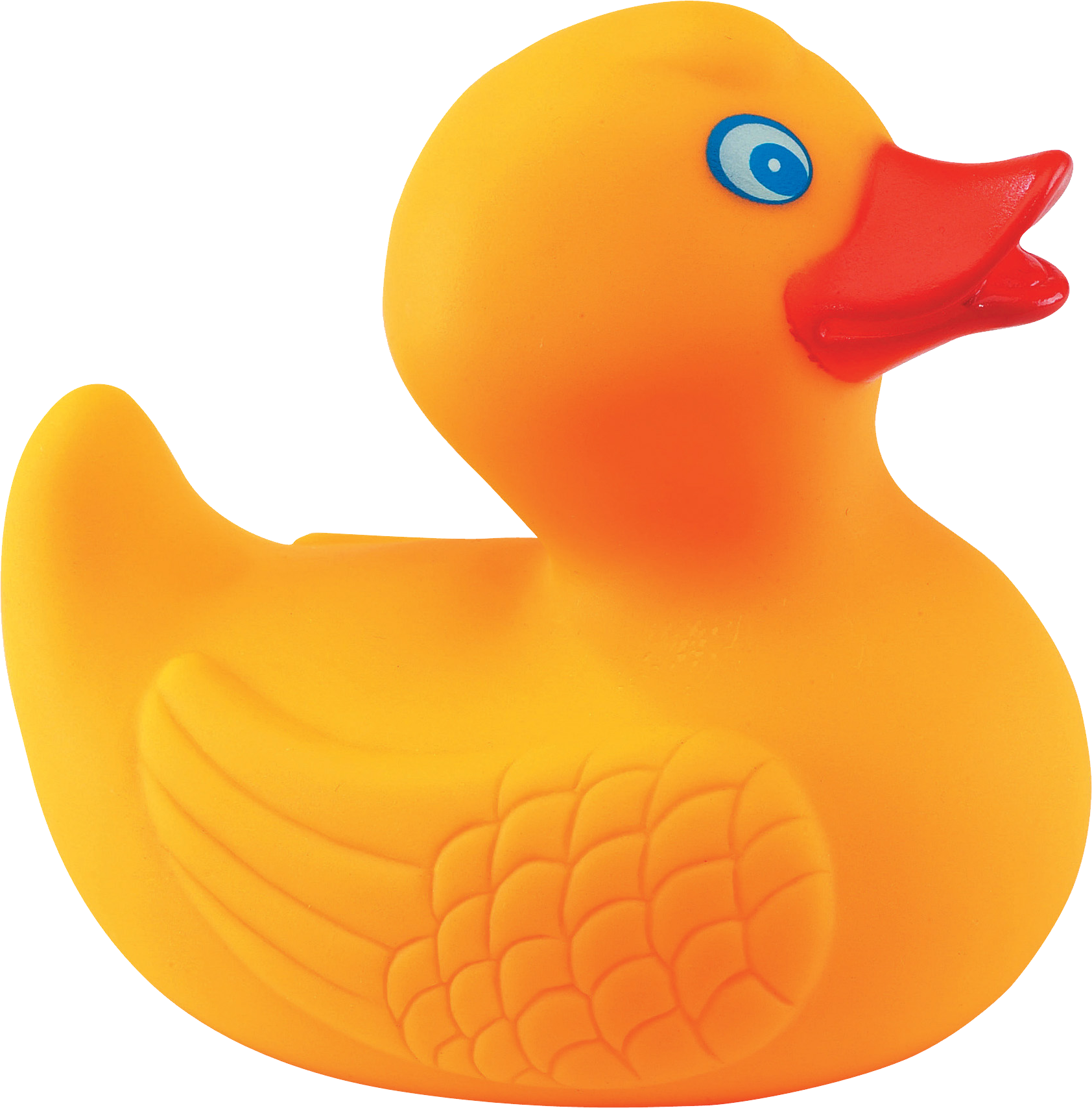 Rubber Duck Png - Rubber Ducks Clipart (1684x1707), Png Download