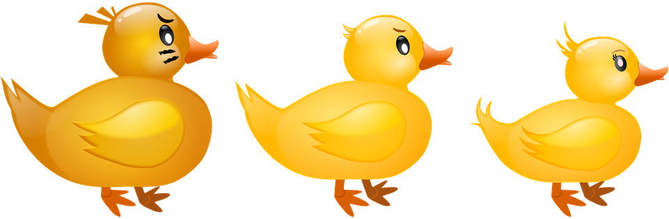 Rubber Duck Png Transparent Image - Clip Art (960x480), Png Download