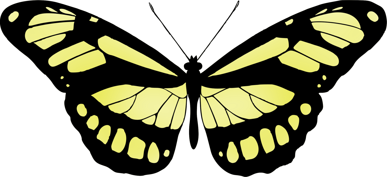 Monarch Butterfly Brush-footed Butterflies Silhouette - Monarch Butterfly Butterfly Silhouette Clip Art - Png Download (1640x750), Png Download