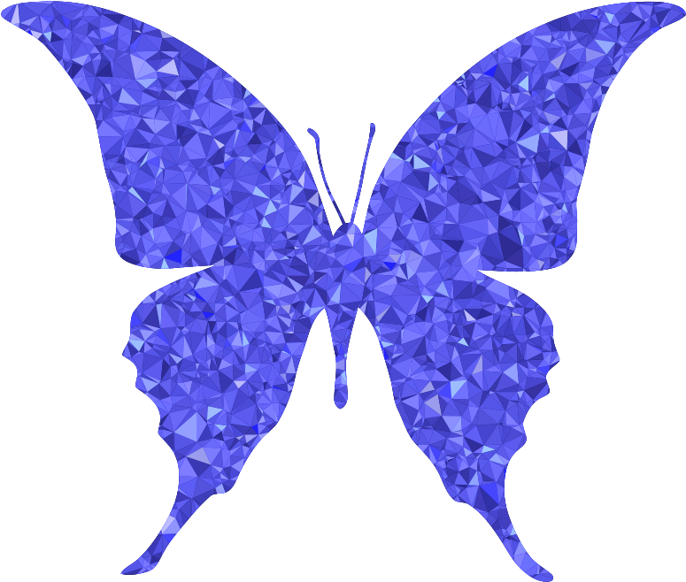 Medium Image Clipart (800x679), Png Download