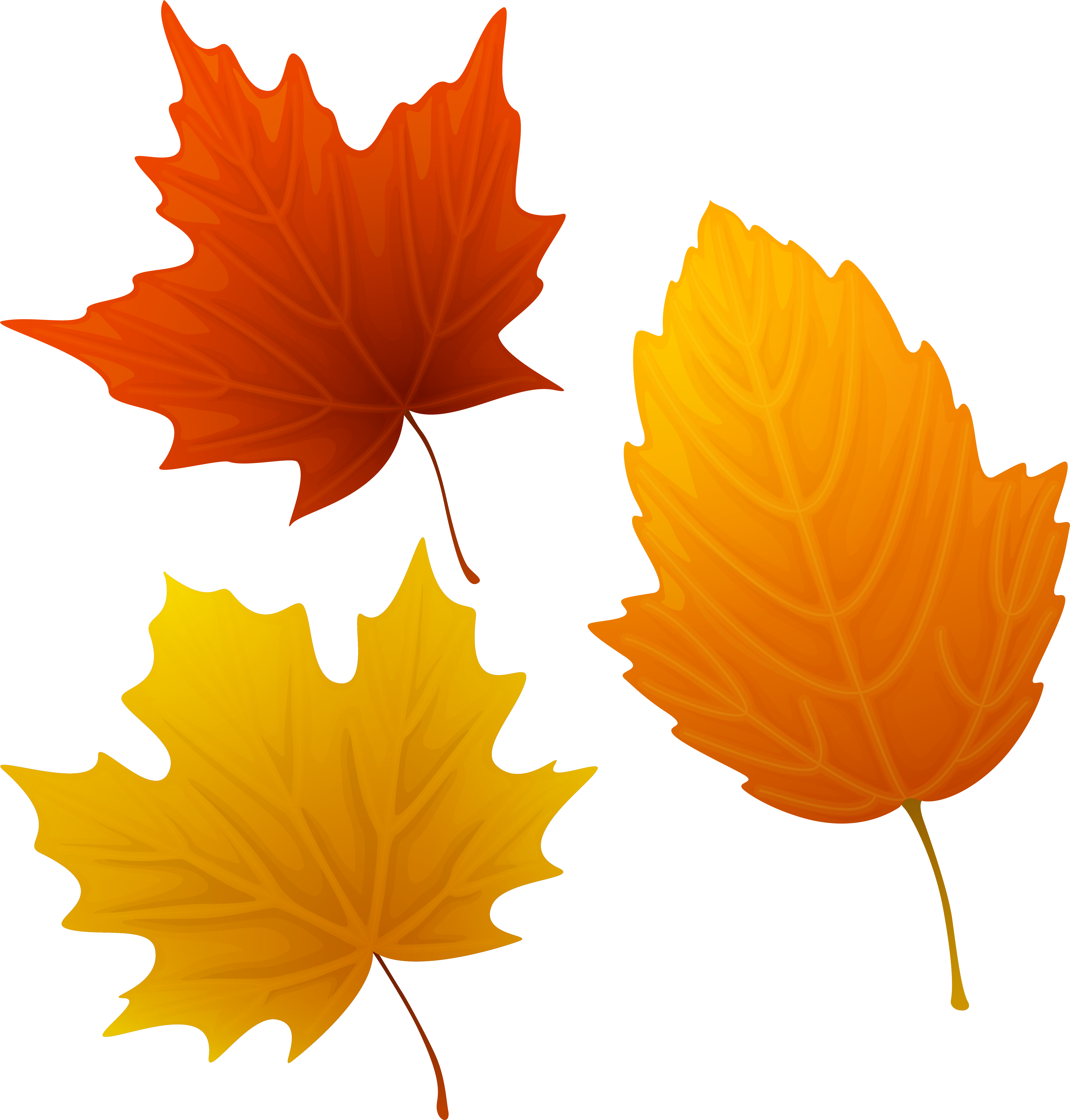 Set Of Autumn Leaves Png Image Clip Ⓒ - Autumn Leaves Clipart Transparent Png (588x600), Png Download