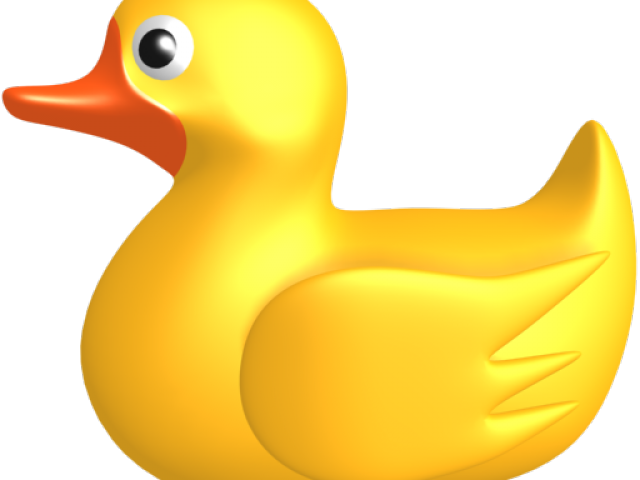 Duck Clipart Png Transparent Png (640x480), Png Download