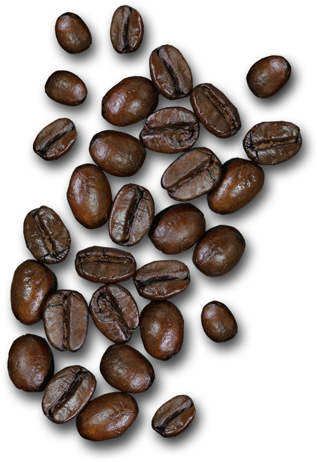 Coffee Of The Month - Seed Clipart (631x931), Png Download