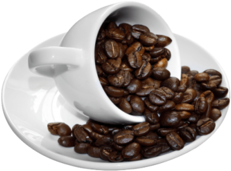 Free Png Download Coffee Beans Cup Png Images Background - Coffee Bean And Coffee Png Clipart (850x651), Png Download