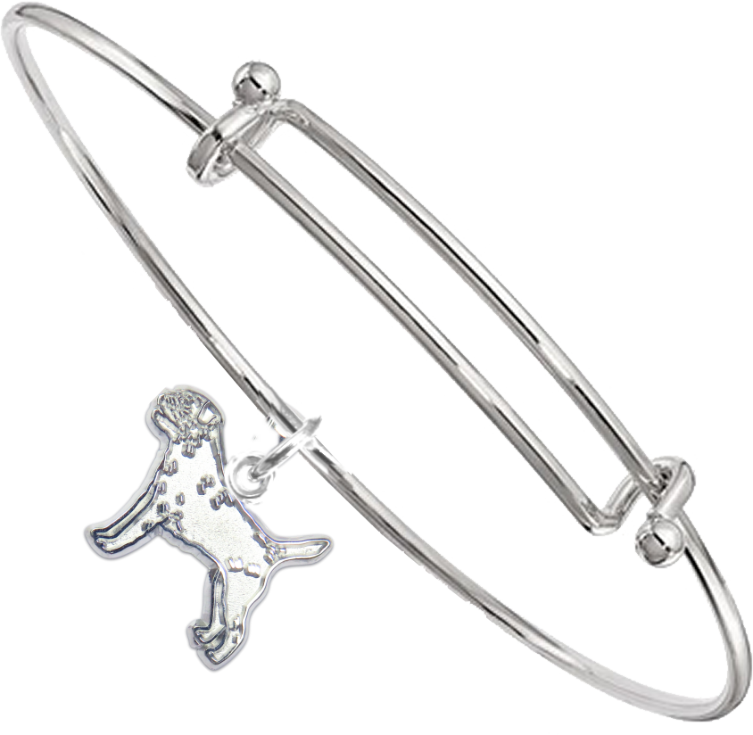 Sterling Silver Border Terrier Charm On Bangle Bracelet - Bracelet Clipart (844x824), Png Download