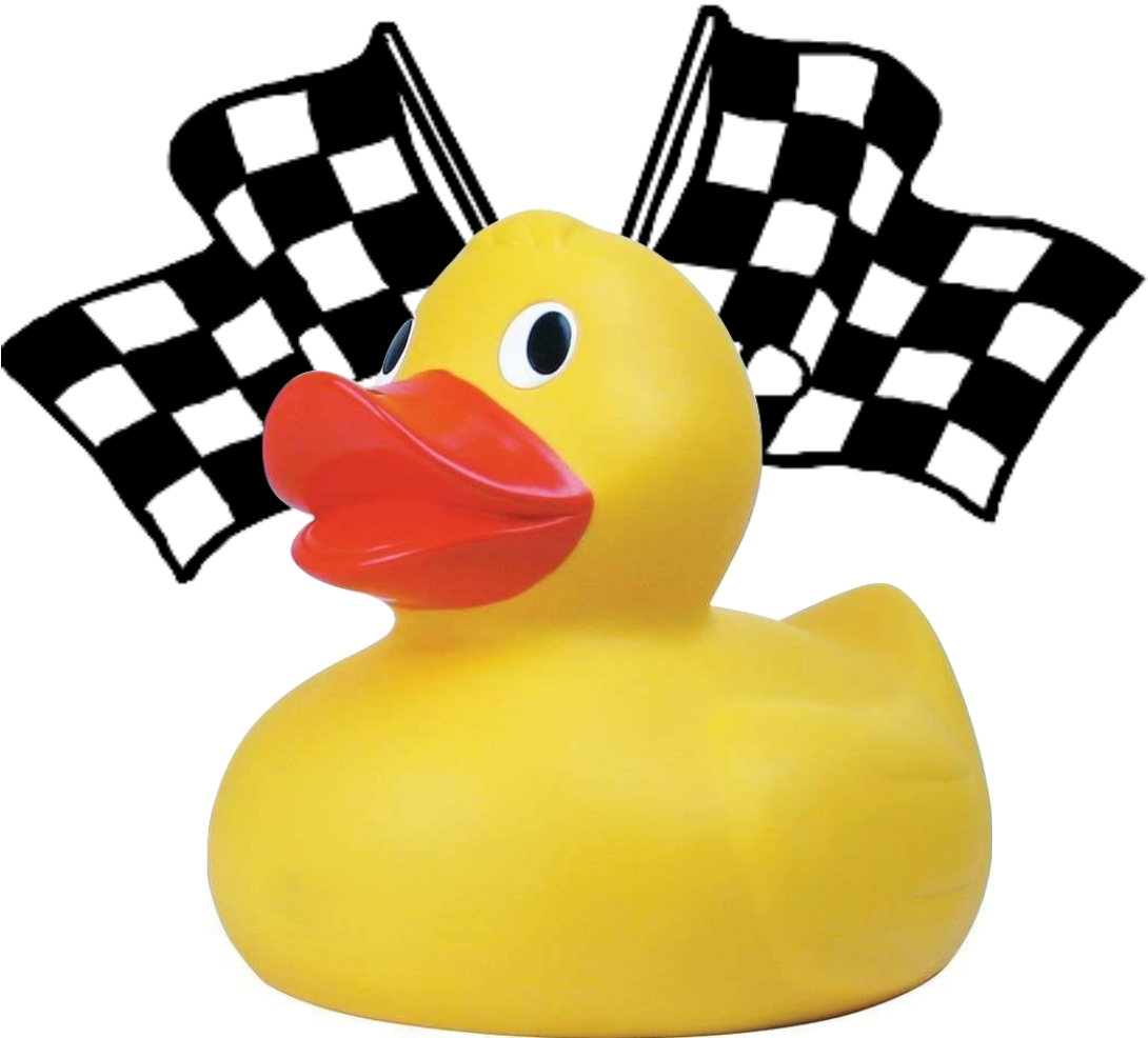 Adopt A Duck For The Family Center » Ducks - Checkered Flag Clipart (1107x1004), Png Download