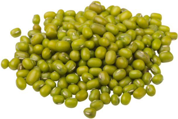 Mung Bean Png Clipart (800x530), Png Download