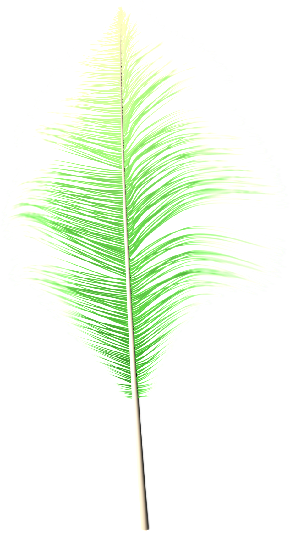 Fantasy Transparent Feather Png - Grass Clipart (1024x2048), Png Download