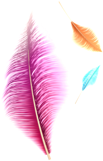 Fantasy Transparent Feather Png - Earrings Clipart (1024x682), Png Download