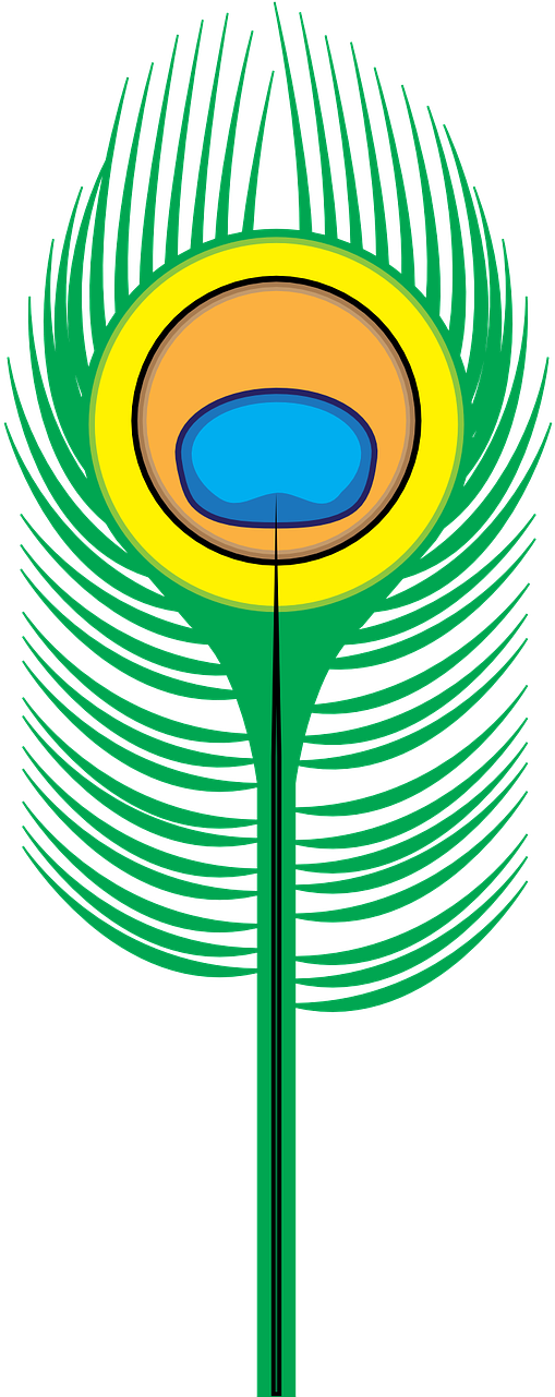 Peacock Vector Graphics,free Pictures, - Peacock Feather Clip Art - Png Download (640x1280), Png Download