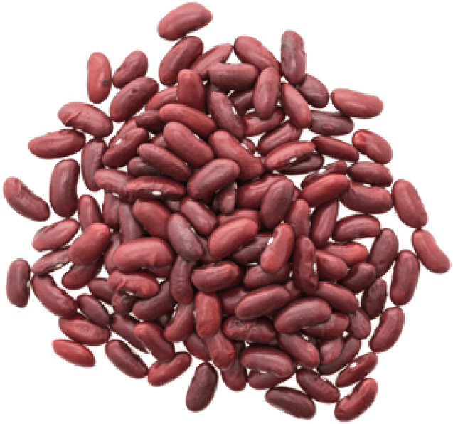 Free Png Download Kidney Beans Png Images Background - Haricot Kidney Clipart (850x598), Png Download