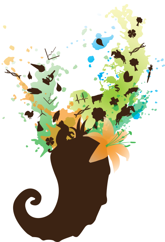 Sunday, October - Cornucopia Clipart (542x796), Png Download