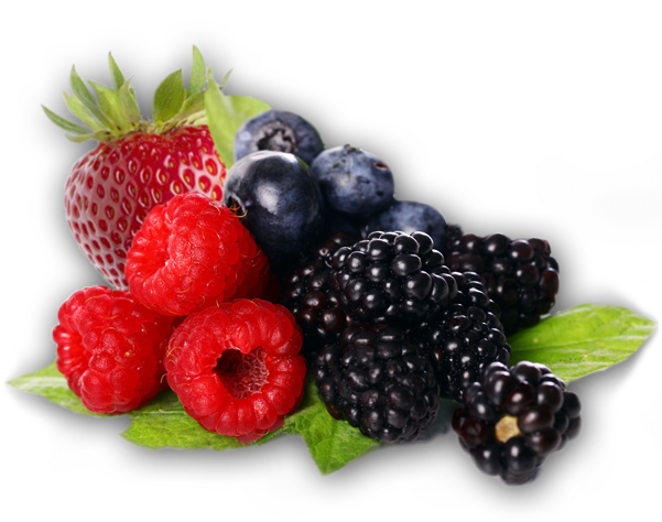 Berries Png Clipart - Berries Clipart Png Transparent Png (600x600), Png Download