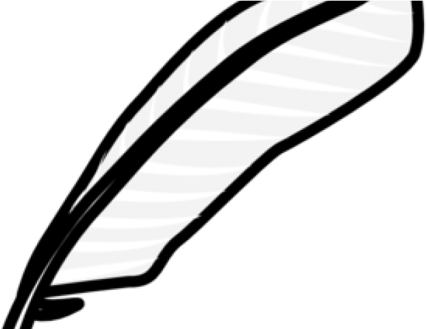 Feather Clipart Vector - Png Download (640x480), Png Download