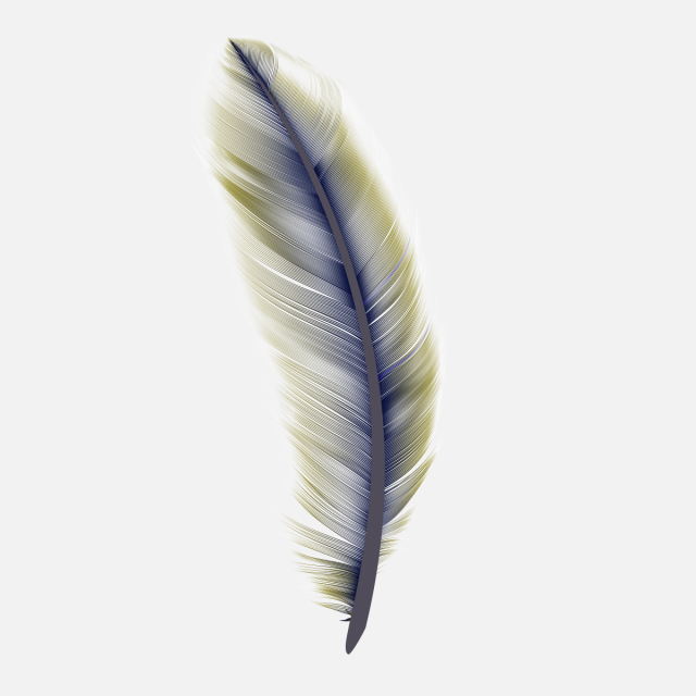 Royalty Free Stock Png Bird Leaf Feathers Falling Image - Macro Photography Clipart (640x640), Png Download