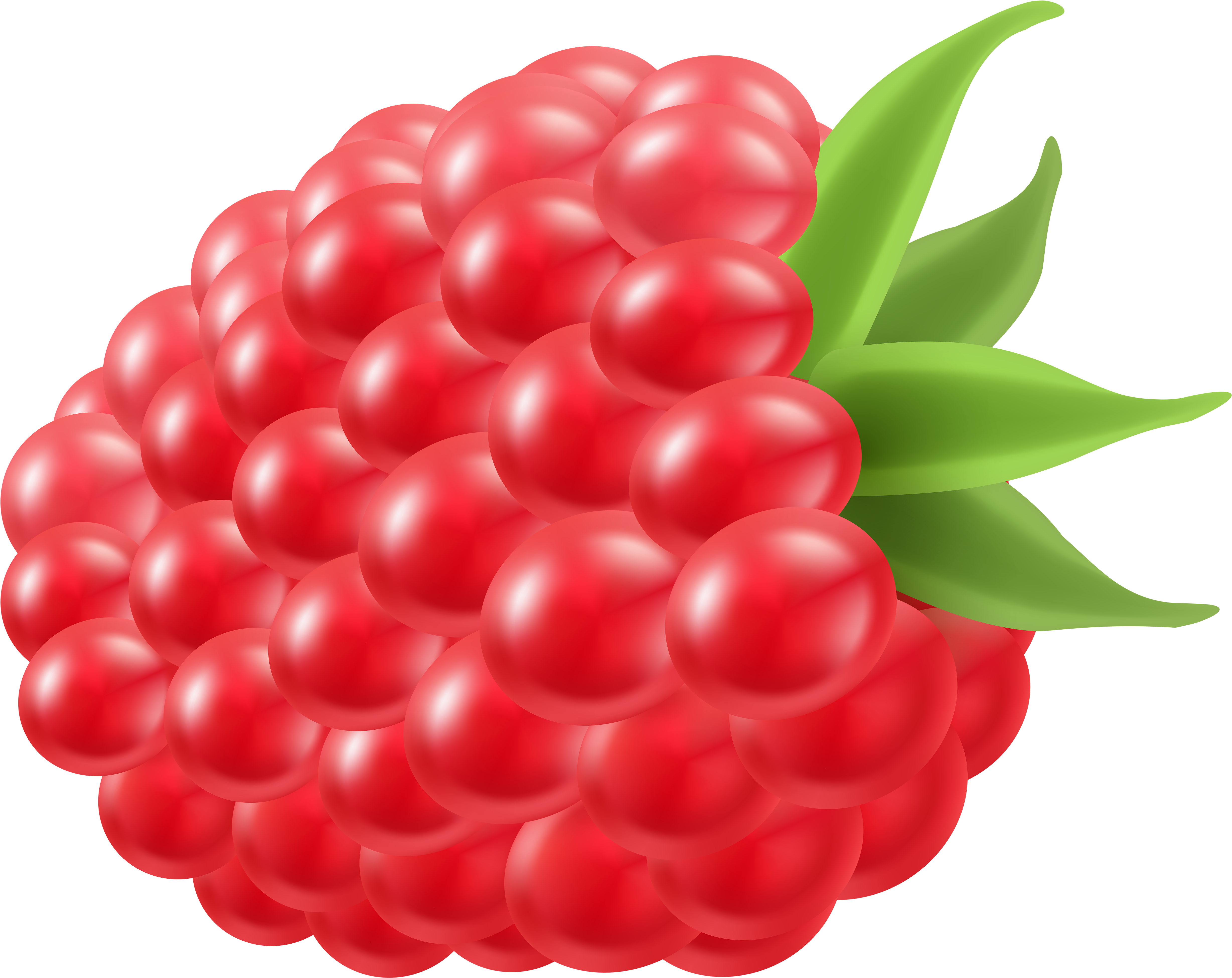 Raspberry Png Clip Art Image - Raspberries Fruit Clipart Transparent Png (5000x4002), Png Download